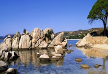 IM电竞下载app-Rookie在切尔西比赛中刷新纪录，表现优异引发热议！